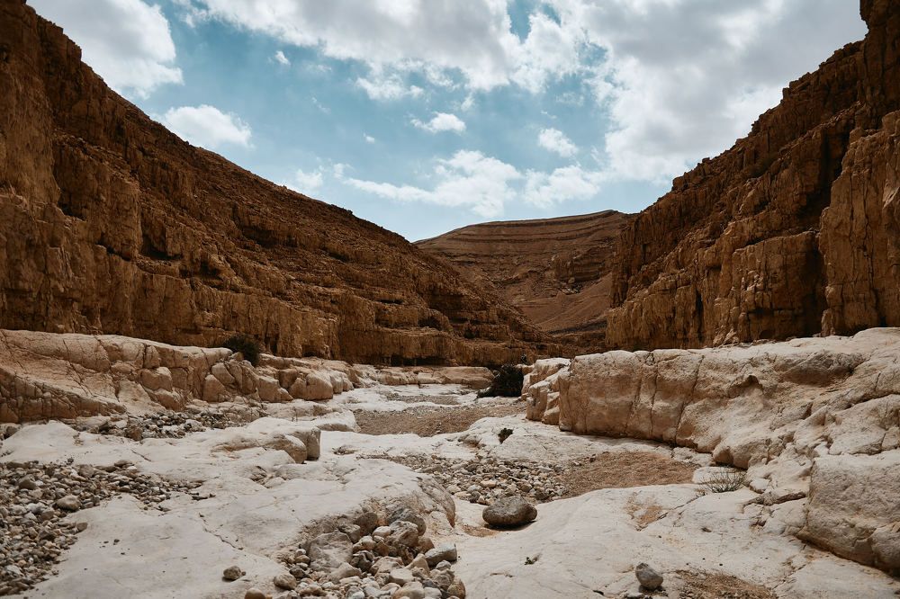 Photograph by Alexander Leshinsky