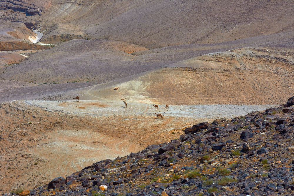 Photograph by Alexander Leshinsky