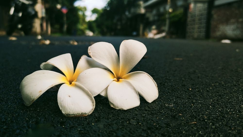 Photograph by Yukti Adhikary