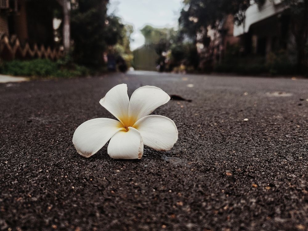 Photograph by Yukti Adhikary
