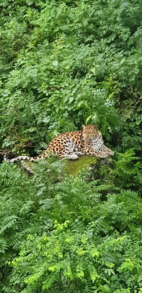 Photograph by Денис Заславский