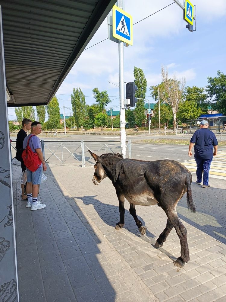 Photograph by Татьяна Пальчикова