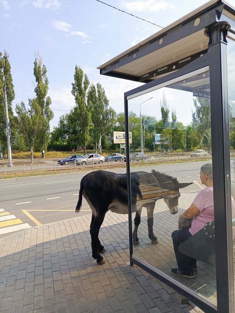 Photograph by Татьяна Пальчикова