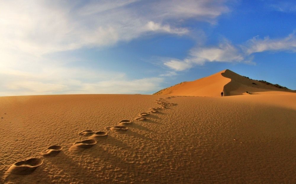 На пути к вершине