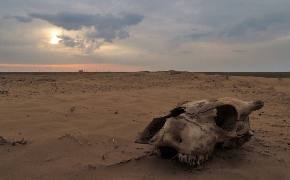 Мертвая область