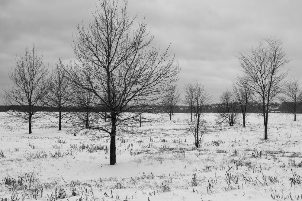 Photograph by Дарья Комарова