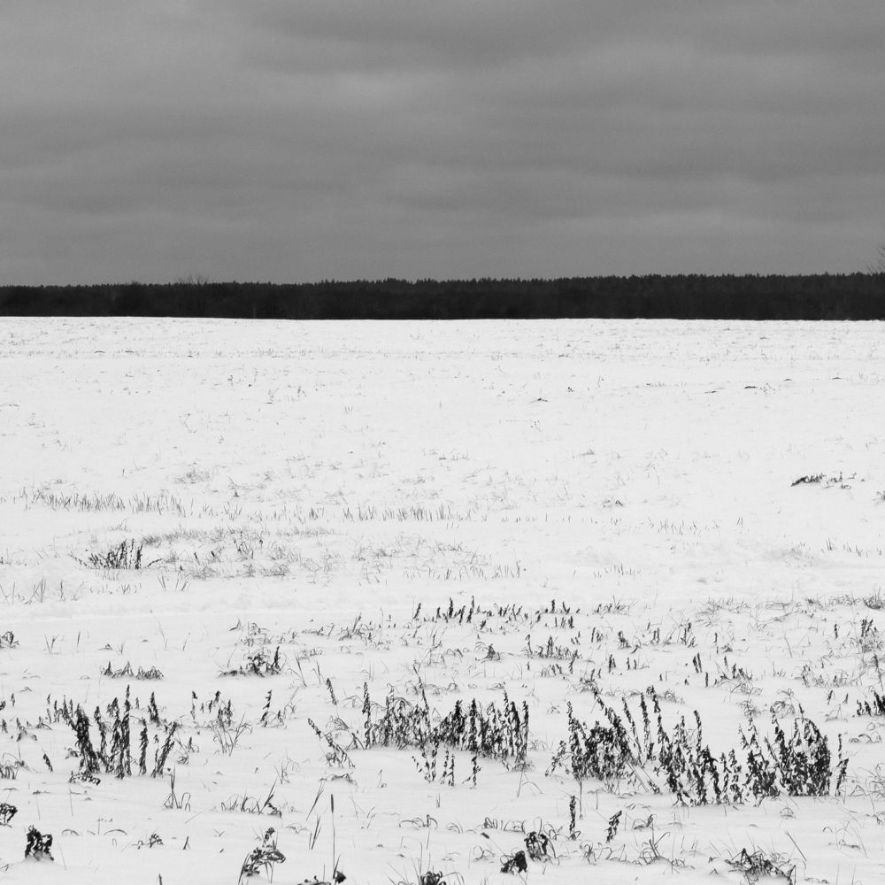 Photograph by Дарья Комарова