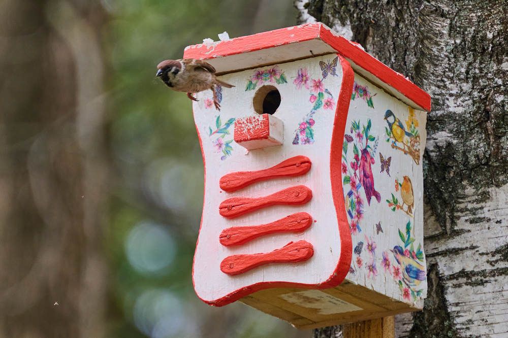 Photograph by Дмитрий Солодухин