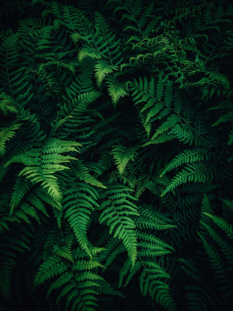 Фотография автора Дарья Кузнецова