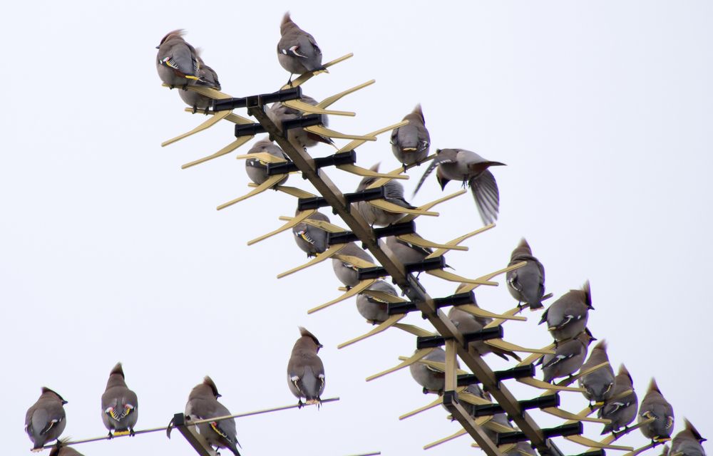 Photograph by Руслан Гончар