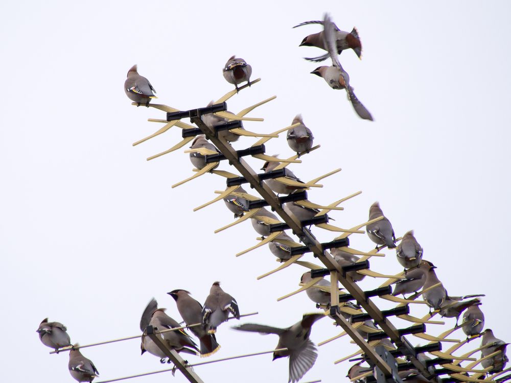 Photograph by Руслан Гончар