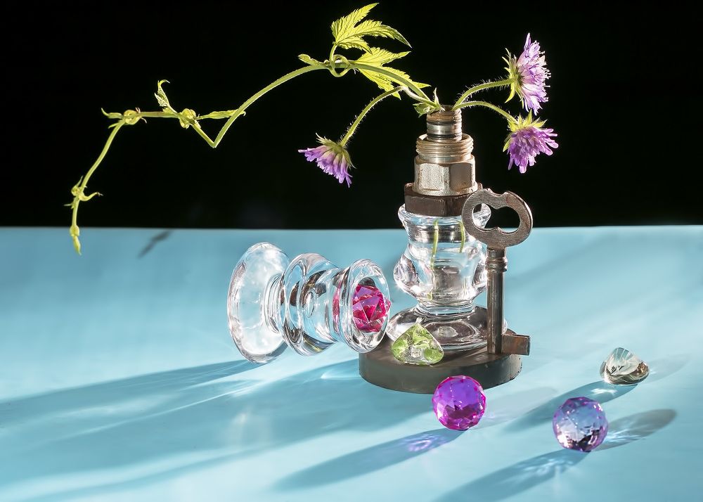 Свет в живом и неживом