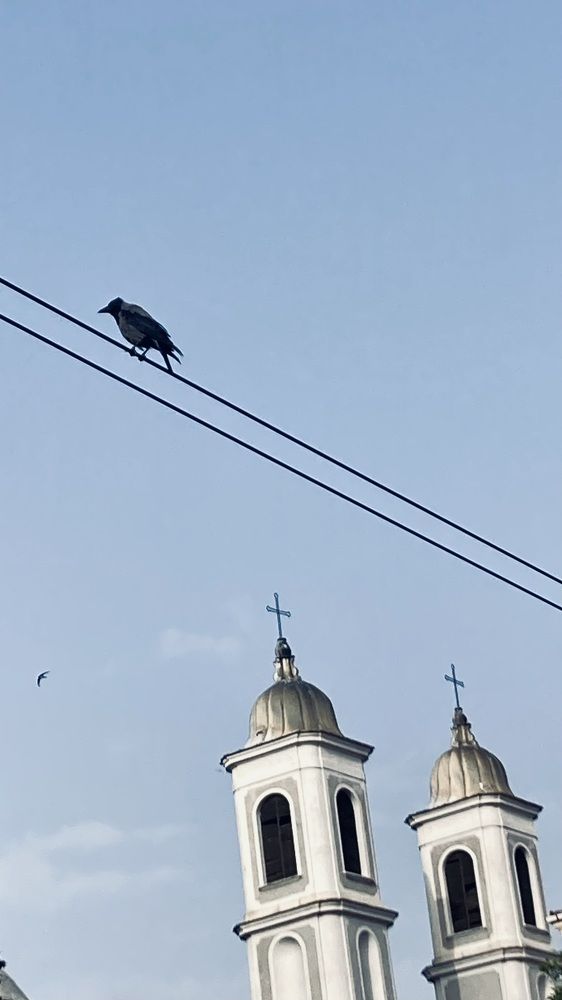 Photograph by Itır Sunalp