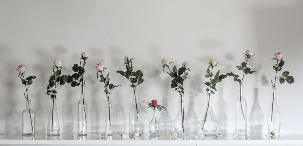 Фотография автора Uljana Kuchar