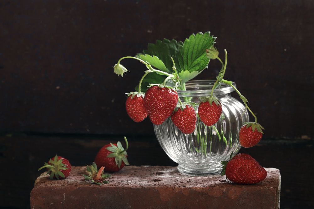 Фотография автора Uljana Kuchar