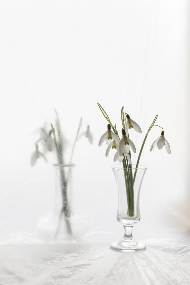 Фотография автора Uljana Kuchar