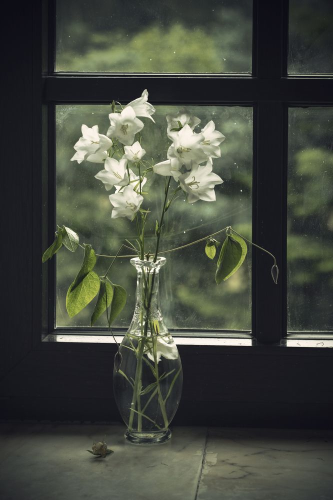 Фотография автора Uljana Kuchar