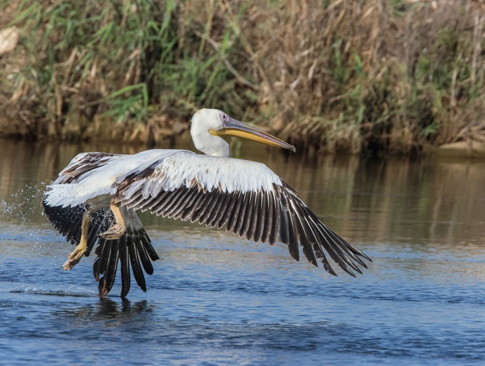 Photograph by Валентина Лопаткина