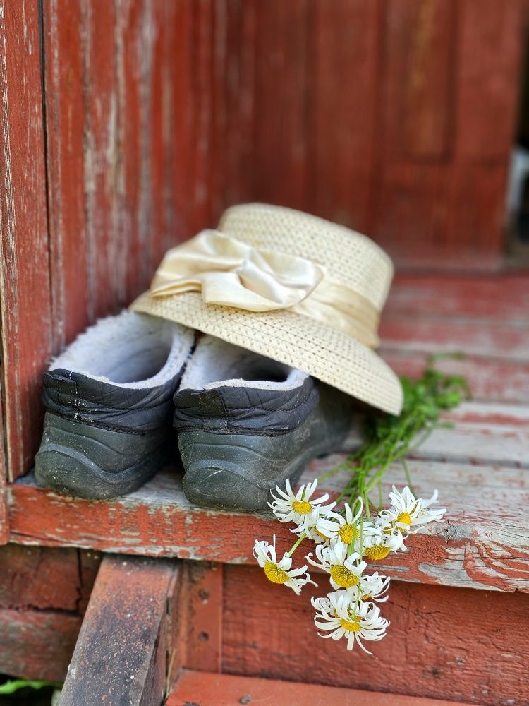 Photograph by Галина Левина