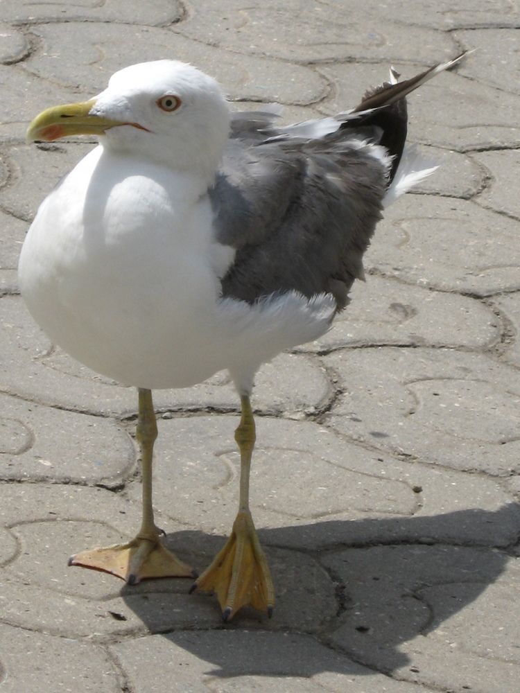 Photograph by Наталия