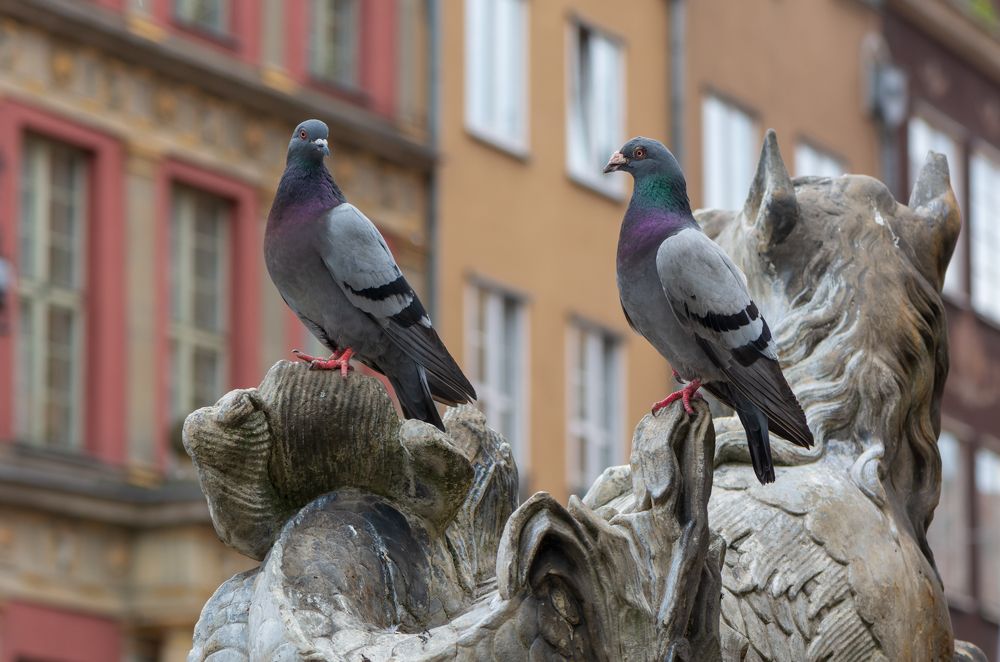 Photograph by Agita Leimane