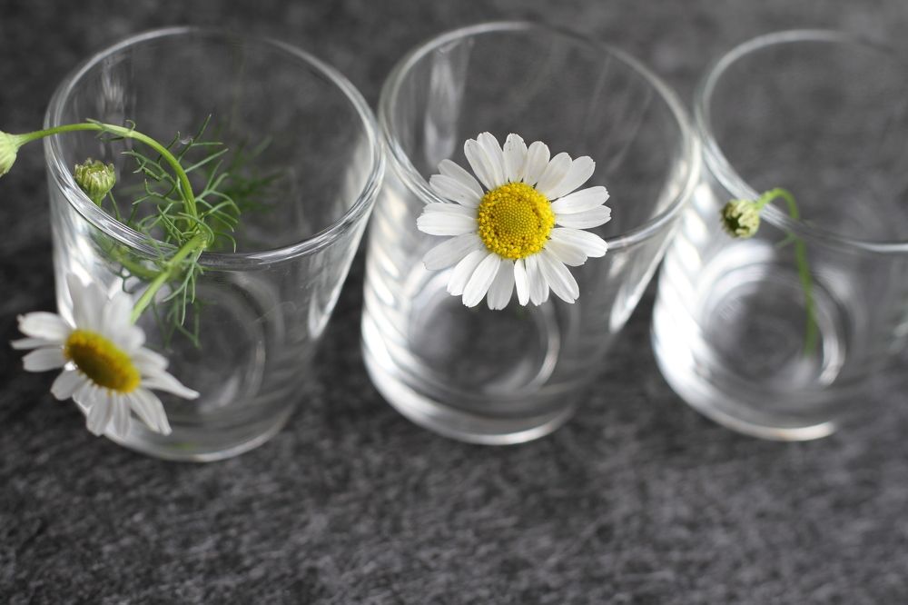 Photograph by Наталья Алексеева