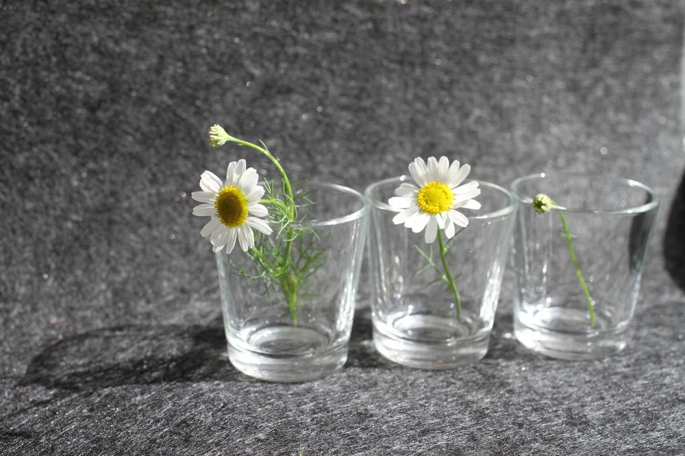 Photograph by Наталья Алексеева