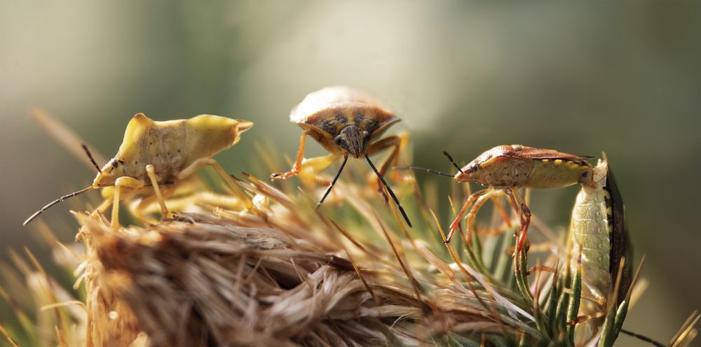 Photograph by Наталья Быстрая