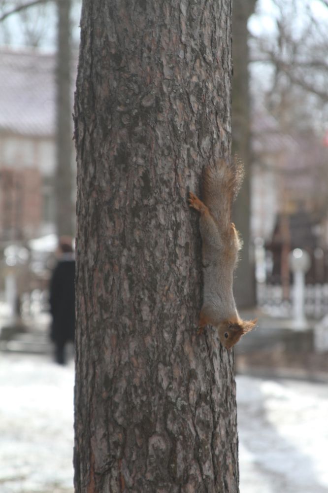 Photograph by Наталья Алексеева