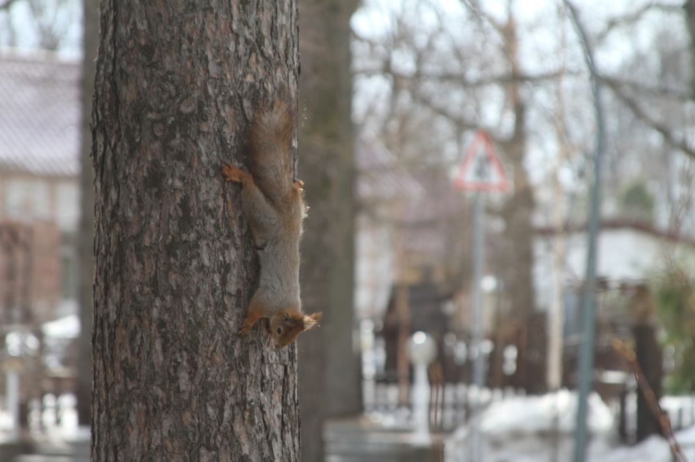 Photograph by Наталья Алексеева