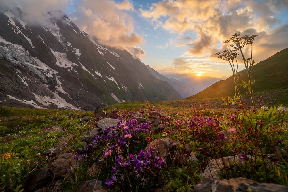 Фотография автора Pavel Bernshtam