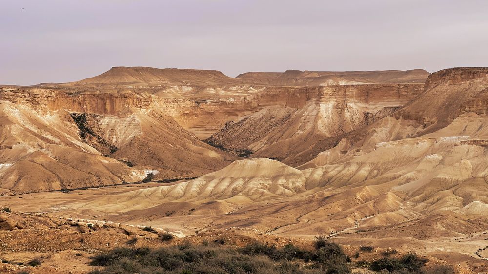 Photograph by Svetlana Garifullina