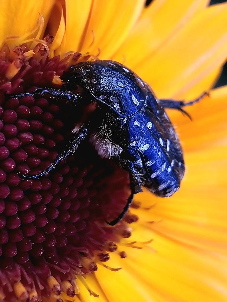 Photograph by Анна Семенова