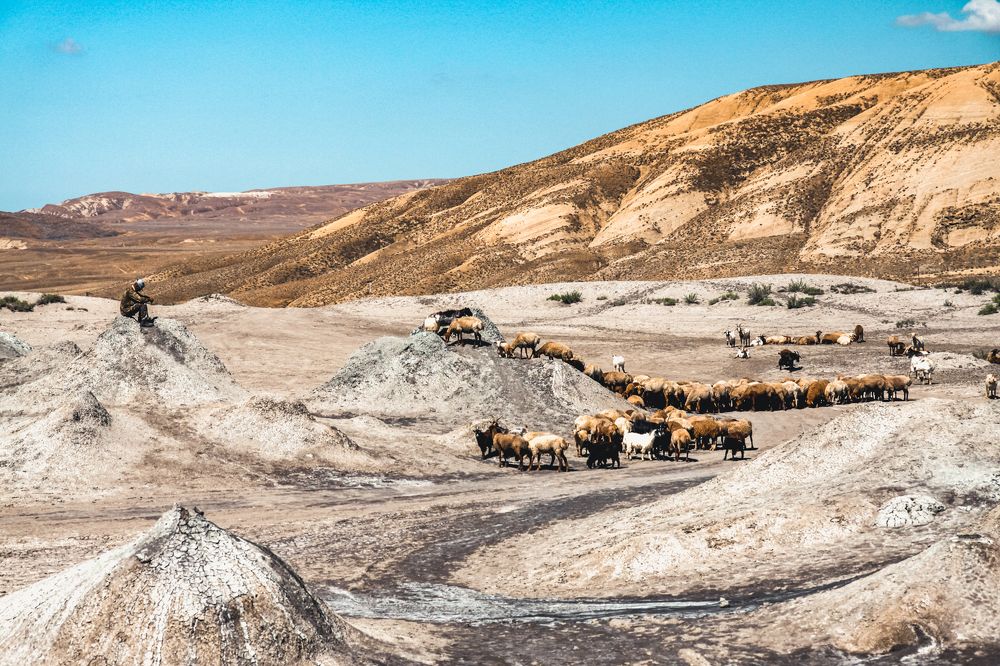 Photograph by Ольга Нецеля