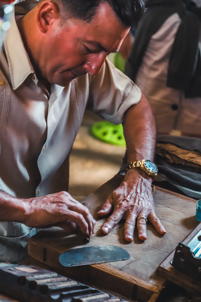 Photograph by Ольга Нецеля