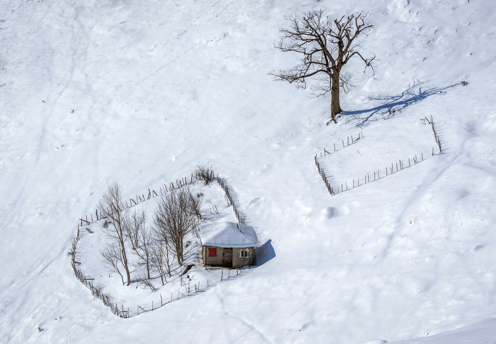 Photograph by Riahi Hosein