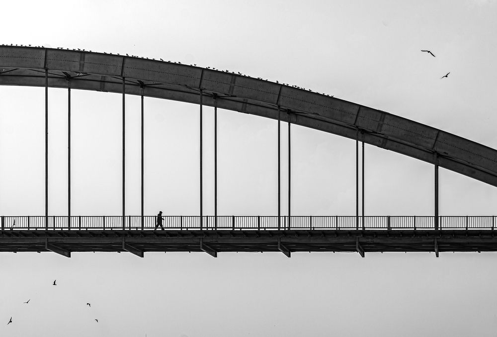 Photograph by Riahi Hosein