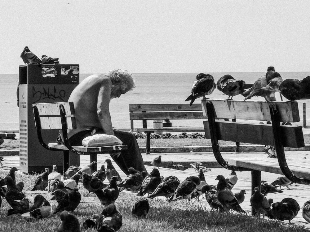 Фотография автора Hünkar Ertaş