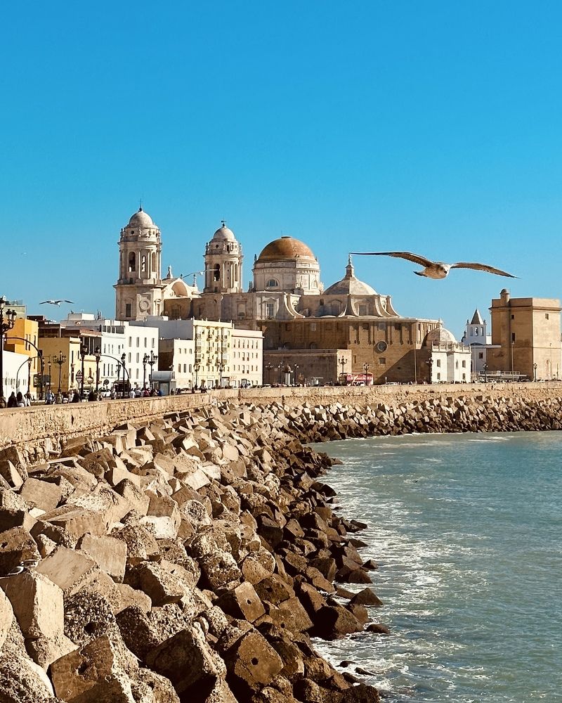 Photograph by Юлия Григоренко