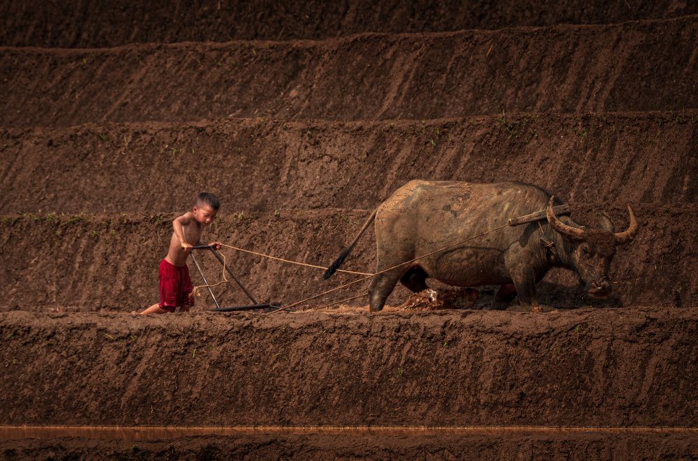 Photograph by Hanh P. T. Pham