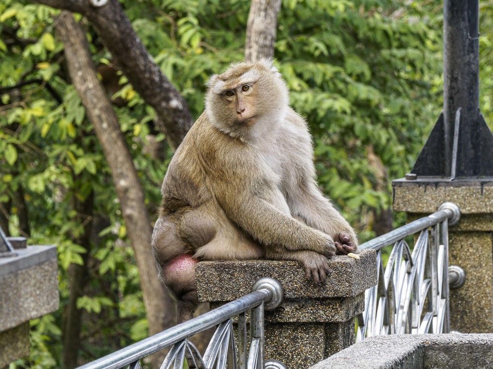 Photograph by Борис