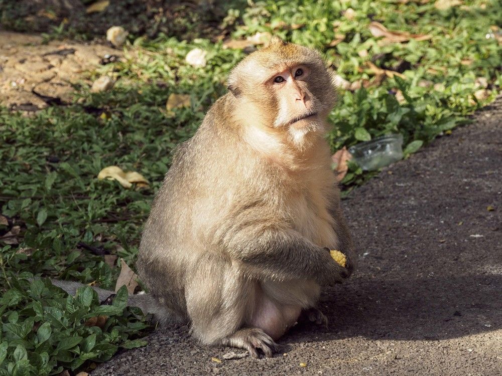 Photograph by Борис