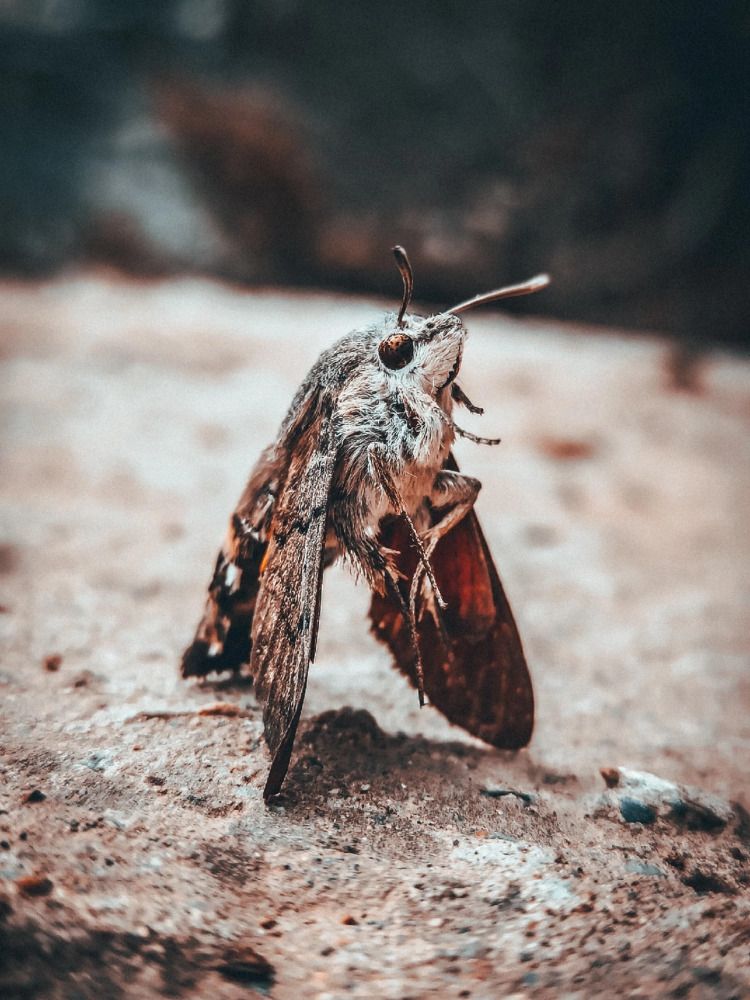 Photograph by Даниил Петруненко