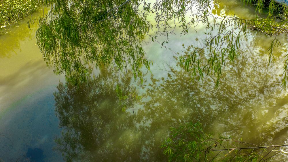 Photograph by JORGE DORANTES