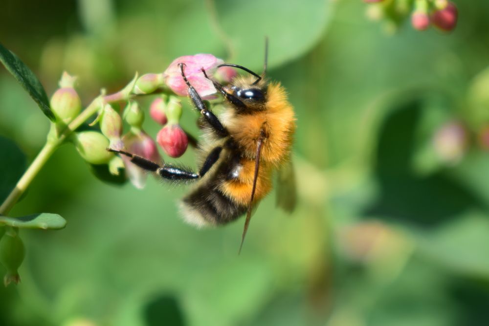 Photograph by Наталья Еременко
