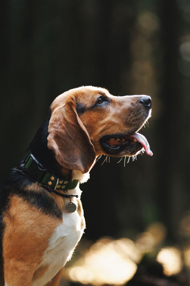 Фотография автора Александра