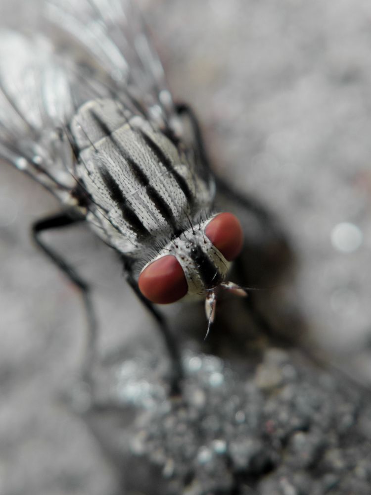 Photograph by YADU M S