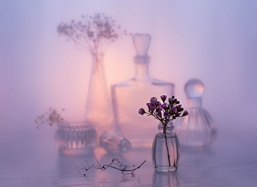 Вечернее настроение