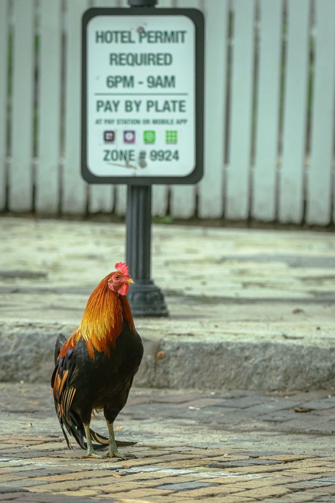 Фотография автора Erik Nelson