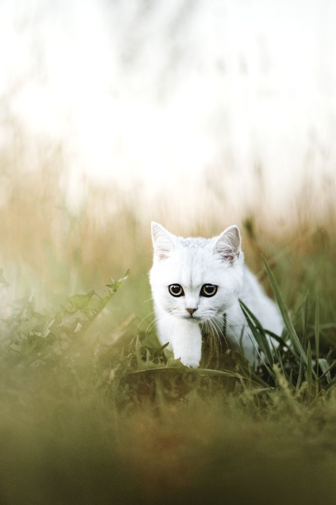 Фотография автора Александра Важова